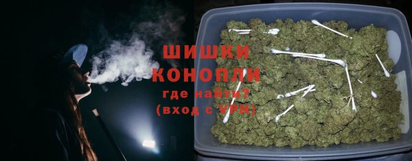 индика Всеволожск