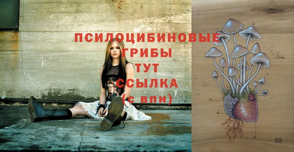 MESCALINE Покров