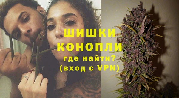 спайс Покачи