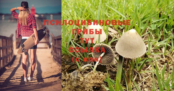 спайс Покачи