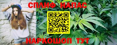 дживик Берёзовский