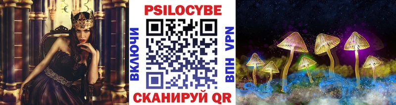 Галлюциногенные грибы прущие грибы  Балтийск 
