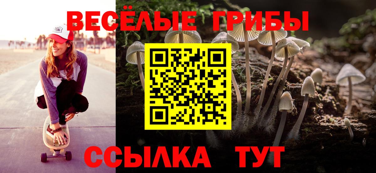 Псилоцибиновые грибы мицелий Балтийск