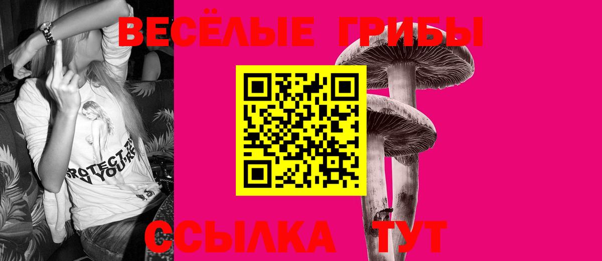 Галлюциногенные грибы мухоморы  Балтийск  Псилоцибиновые грибы мухоморы 